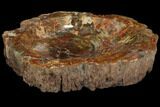 Colorful Polished Petrified Wood Dish - Madagascar #108197-2